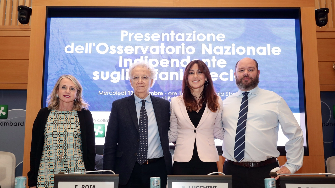 Vice prefetto di Milano Alessandra Tripodi, il presidente del tribunale di Milano Fabio Roia, l'assessore regionale alla Famiglia Elena Lucchini, il Garante per l'infanzia di Regione Lombardia Riccardo Bettiga