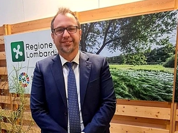 immagine articolo
