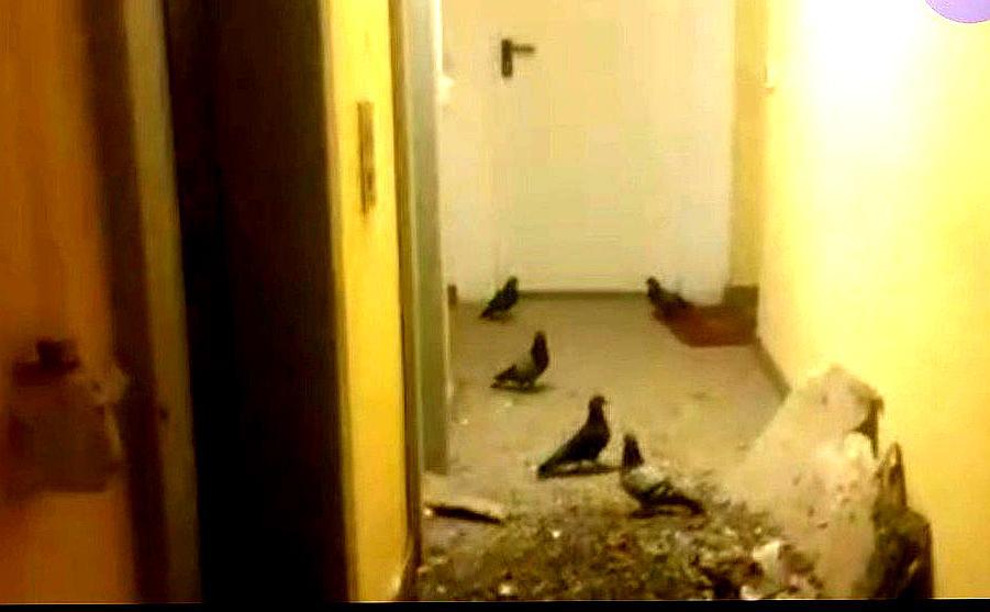 Brescia, nuova emergenza alla Torre Raffaello: una residente resta bloccata in ascensore per quasi un’ora Brescia, nuova emergenza alla Torre Raffaello: una residente resta bloccata in ascensore per quasi un’ora