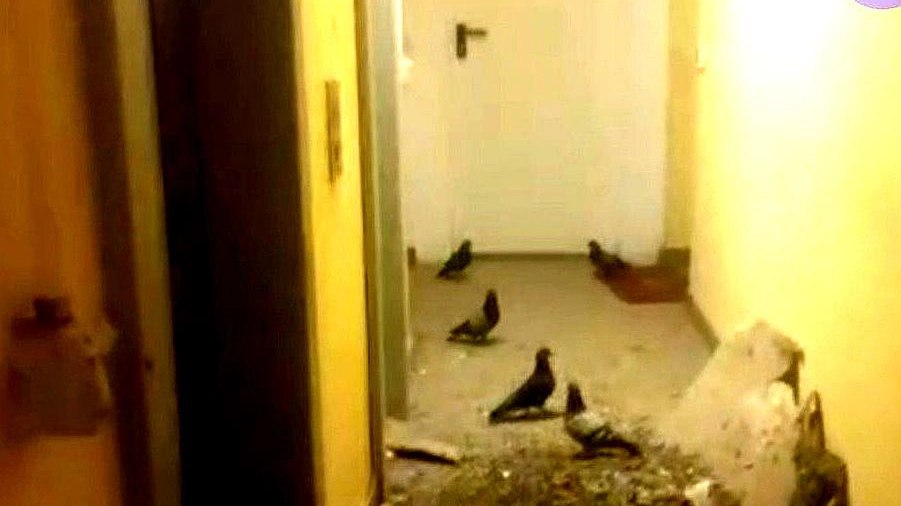 Il controsoffitto crollato
