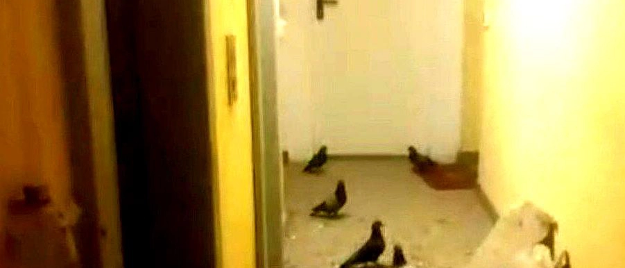 Brescia, nuova emergenza alla Torre Raffaello: una residente resta bloccata in ascensore per quasi un’ora