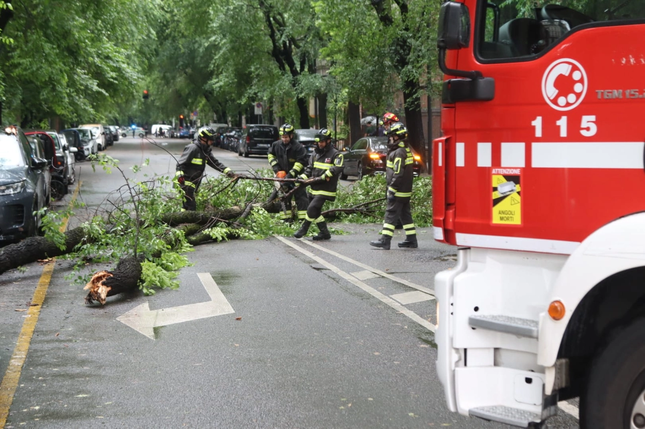 Vigili del fuoco al lavoro in via de Marchi per liberare la strada dai rami caduti in mezzo alla strada (foto Salmoirago)
