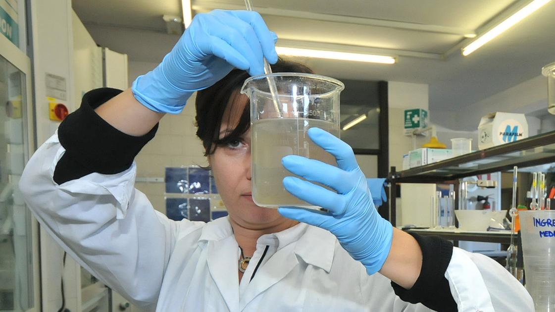 gallarate intossicazione di massa a scuola analisi sugli alimenti proposti a mensa e sull acqua da Ilgiorno.it gallarate intossicazione di massa a scuola analisi sugli alimenti proposti a mensa e sull acqua