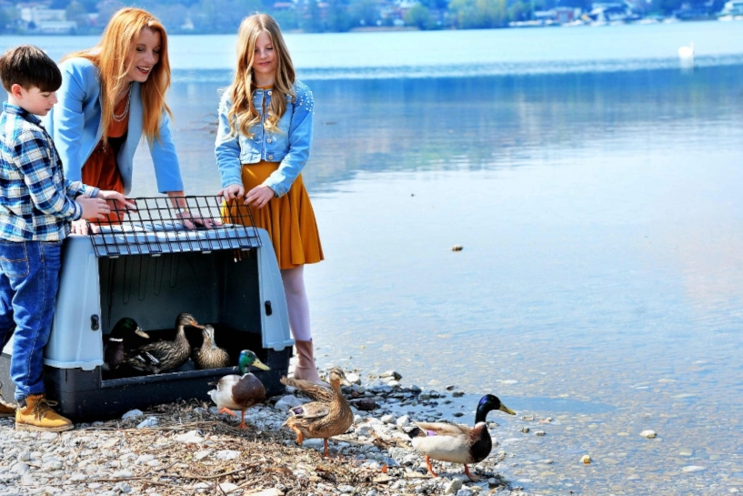 La liberazione nel lago dei germani