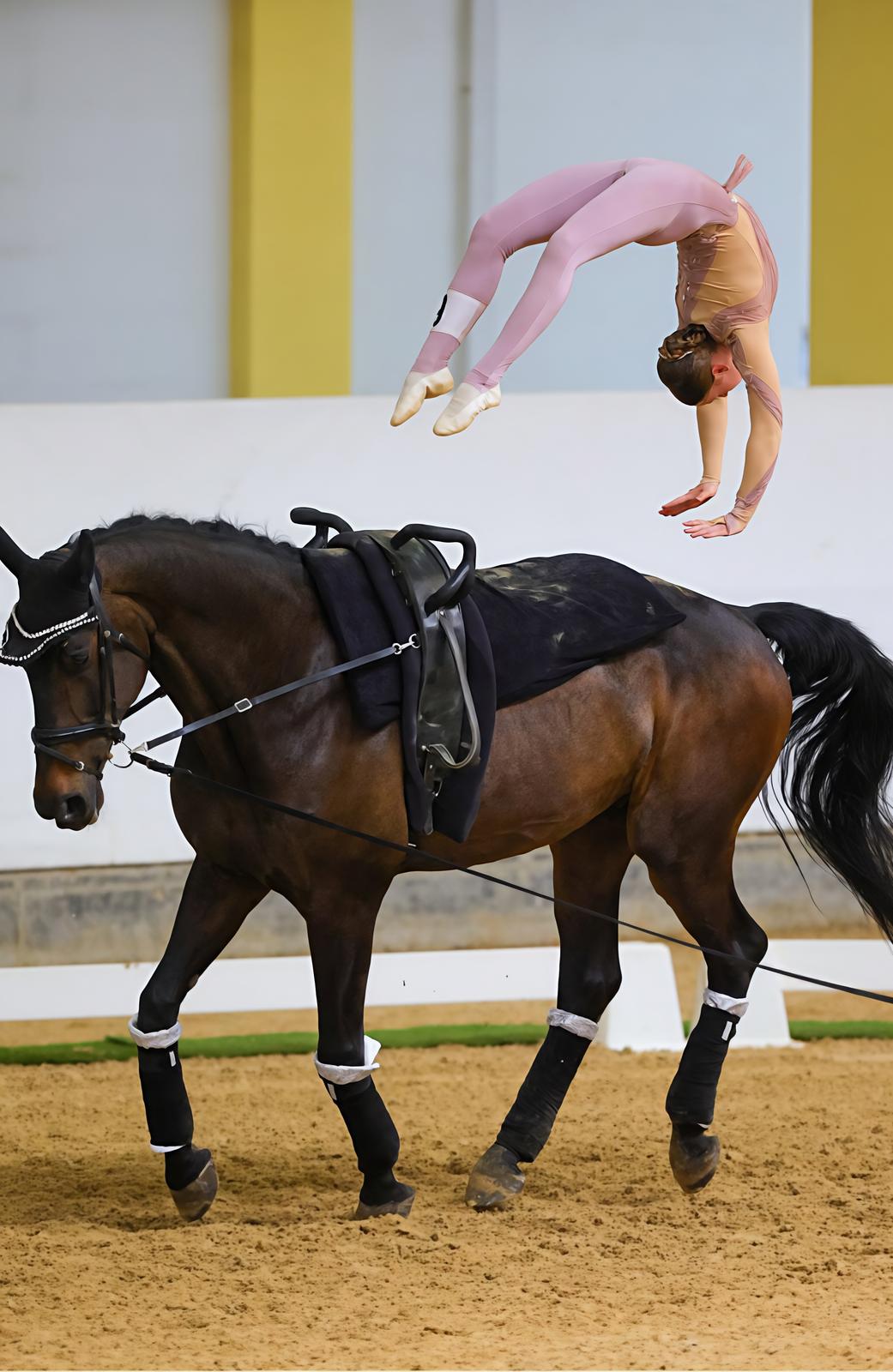 La capitale mondiale del volteggio. Equitazione e ginnastica si fondono. A Villasanta le acrobazie a cavallo La capitale mondiale del volteggio. Equitazione e ginnastica si fondono. A Villasanta le acrobazie a cavallo
