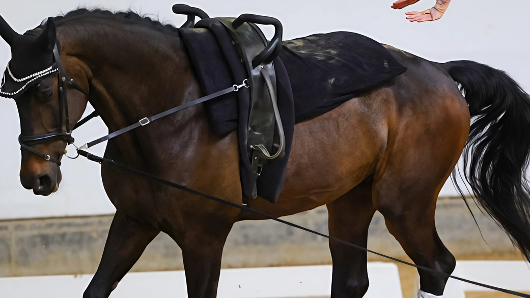 La capitale mondiale del volteggio. Equitazione e ginnastica si fondono. A Villasanta le acrobazie a cavallo