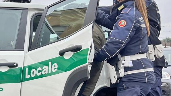 Ancora due spacciatori in manette. Agivano in via Mimose. Sono stati presi con decine di dosi di droghe, pronte allo... Ancora due spacciatori in manette. Agivano in via Mimose. Sono stati presi con decine di dosi di droghe, pronte allo...