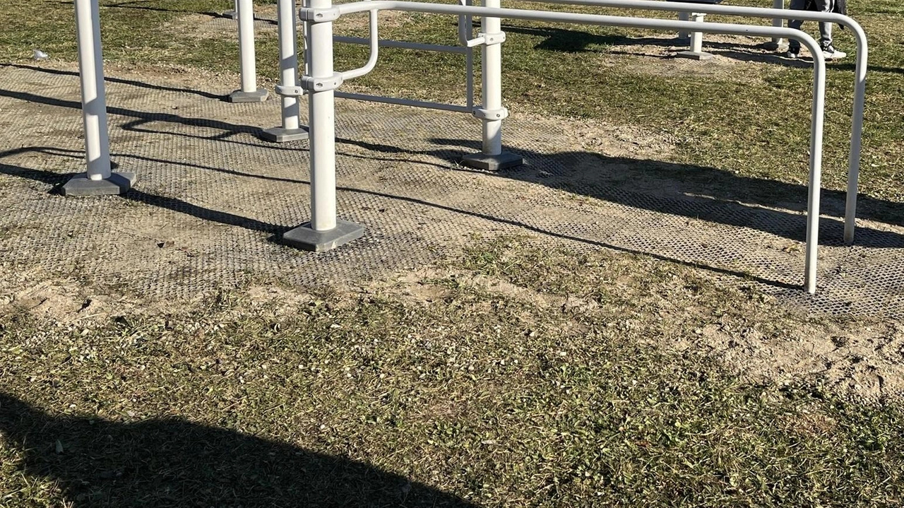 Il parco di via Antonio De Curtis sarà a breve sottoposto ad un ulteriore intervento di riqualificazione grazie ad una sostanziosa linea di finanziamento attivata Il parco di via Antonio De Curtis sarà a breve sottoposto ad un ulteriore intervento di riqualificazione grazie ad una sostanziosa linea di finanziamento attivata