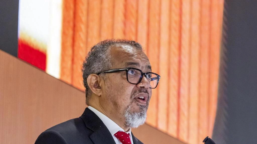 Tedros, 'ci sia immediato rilascio arrestati e protezione' Tedros, 'ci sia immediato rilascio arrestati e protezione'