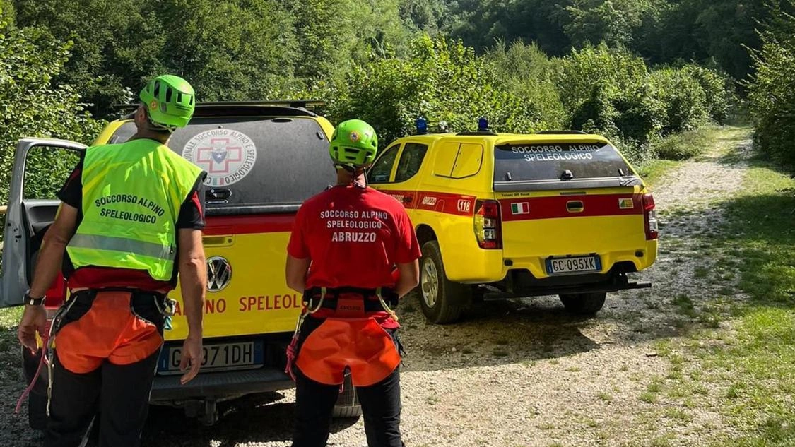 Una donna di 89 anni è scomparsa al passo della Forcora mentre cercava funghi con il figlio. Dopo due giorni di ricerche non ci sono ancora tracce di lei, aumentando il pessimismo sul suo destino. Una donna di 89 anni è scomparsa al passo della Forcora mentre cercava funghi con il figlio. Dopo due giorni di ricerche non ci sono ancora tracce di lei, aumentando il pessimismo sul suo destino.