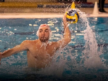 immagine articolo
