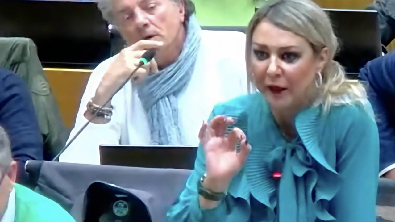 Le scorribande dei maranza imperversano per la città, e il centrodestra in Consiglio comunale alza la voce per richiamare gli... Le scorribande dei maranza imperversano per la città, e il centrodestra in Consiglio comunale alza la voce per richiamare gli...