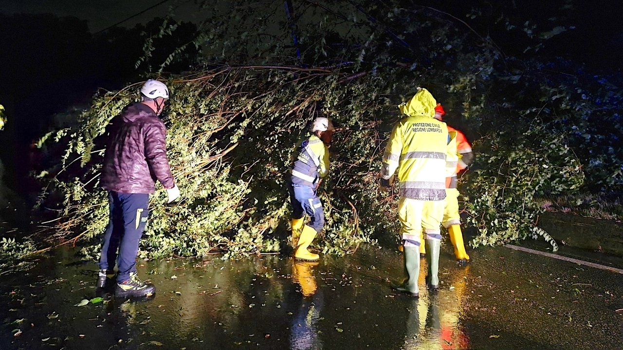 Un albero caduto per il maltempo