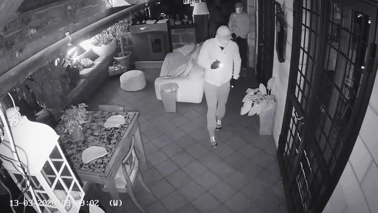 Le immagini sono arrivate in tempo reale sullo schermo dello smartphone della padrona di casa (foto di repertorio) Le immagini sono arrivate in tempo reale sullo schermo dello smartphone della padrona di casa (foto di repertorio)