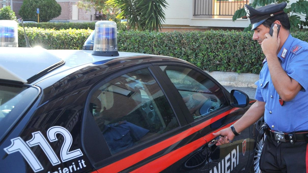 Carabinieri in azione Carabinieri in azione