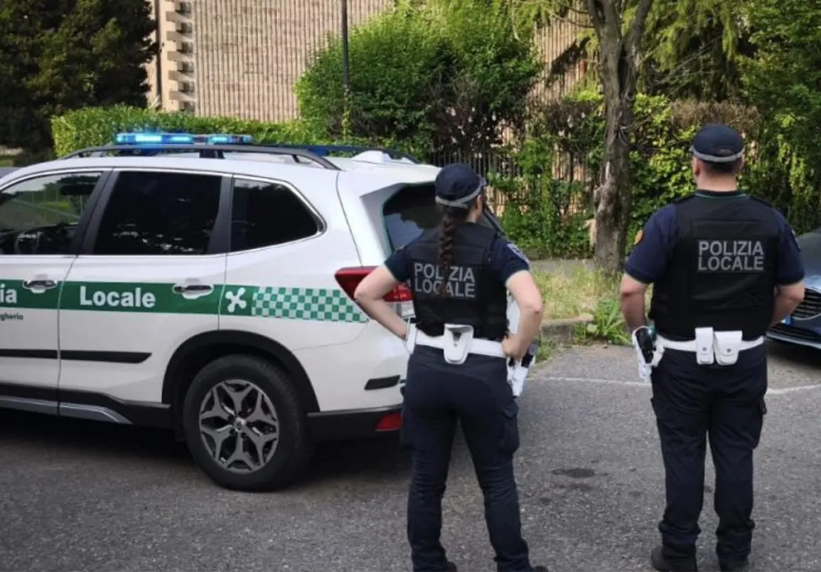 Brugherio, vive con il cane in condizioni igieniche non adeguate: meticcio sequestrato