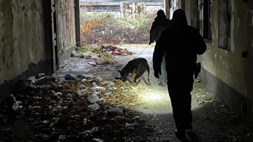 I carabinieri sono intervenuti nell’area dismessa al quartiere Crocione di Seregno con l’aiuto delle unità cinofile