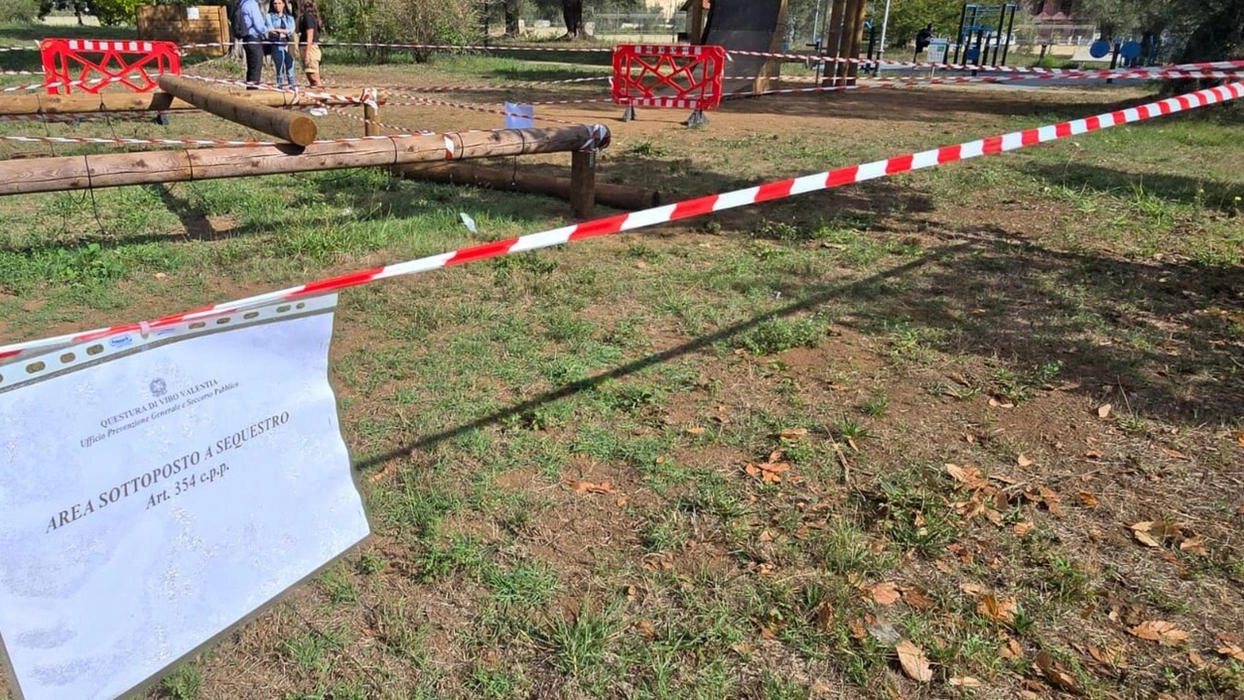 Piccolo era stato portato da Vibo a Roma. Inutili 2 interventi Piccolo era stato portato da Vibo a Roma. Inutili 2 interventi