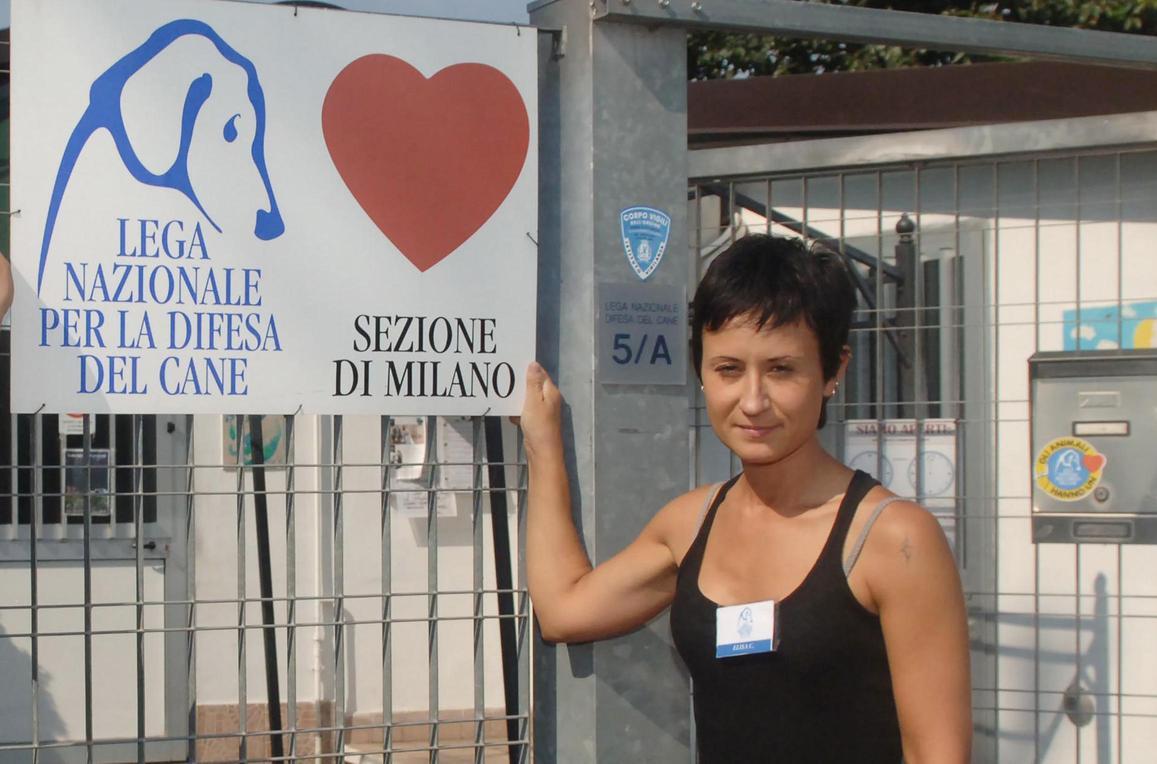 Incatenato al palo senza acqua e cibo la Lega del cane, la sua nuova casa Incatenato al palo senza acqua e cibo la Lega del cane, la sua nuova casa
