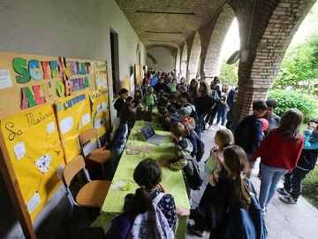 immagine articolo