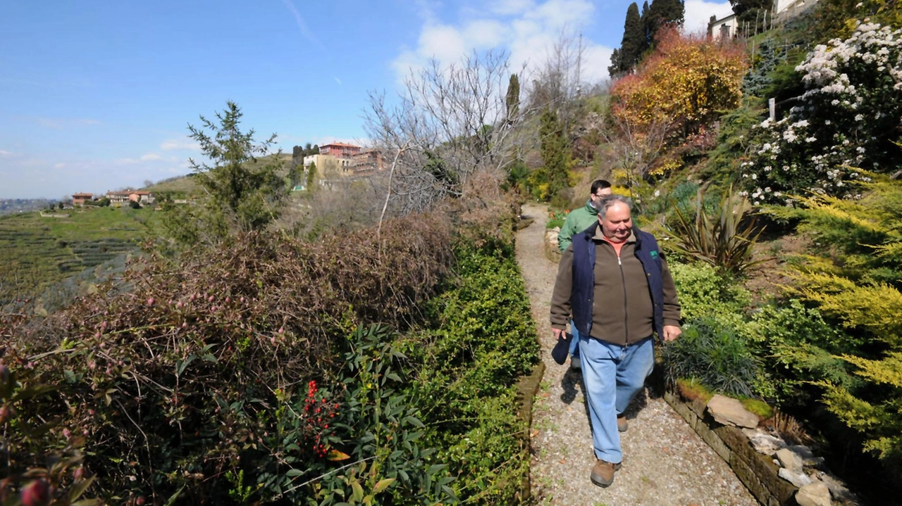 A rischio frana la strada e il marciapiede che collegano la parte bassa all’alta collina, su cui sorge il santuario della Vergine A rischio frana la strada e il marciapiede che collegano la parte bassa all’alta collina, su cui sorge il santuario della Vergine