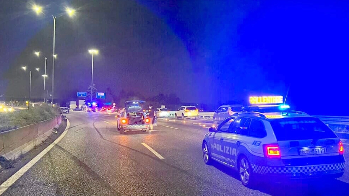 La scena da brividi si è materializzata in piena notte davanti agli occhi di un automobilista in transito sulla Valassina La scena da brividi si è materializzata in piena notte davanti agli occhi di un automobilista in transito sulla Valassina