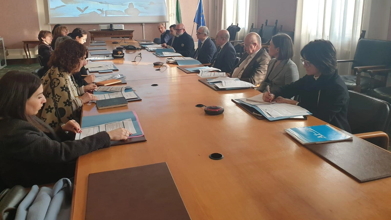 La presentazione nella Prefettura di Varese del progetto Link ideato da Asst Sette Laghi La presentazione nella Prefettura di Varese del progetto Link ideato da Asst Sette Laghi