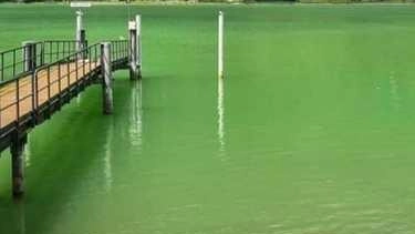 Il cambiamento climatico e l’innalzamento delle temperature stanno cambiando il lago d’Idro. Da circa un mese, e probabilmente fino... Il cambiamento climatico e l’innalzamento delle temperature stanno cambiando il lago d’Idro. Da circa un mese, e probabilmente fino...