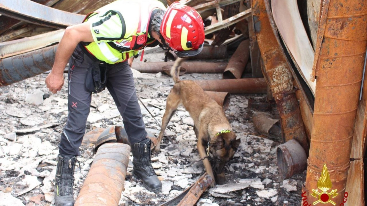 I vigili del fuoco sono entrati con le unità cinofile nell’edificio distrutto I vigili del fuoco sono entrati con le unità cinofile nell’edificio distrutto