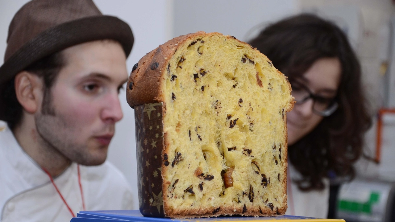 Un panettone in mostra a Re Panettone in una passata edizione della kermesse Un panettone in mostra a Re Panettone in una passata edizione della kermesse