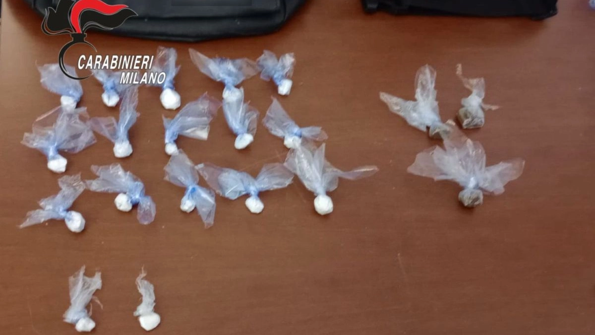 La droga sequestrata al parco delle Groane al pusher infortunato