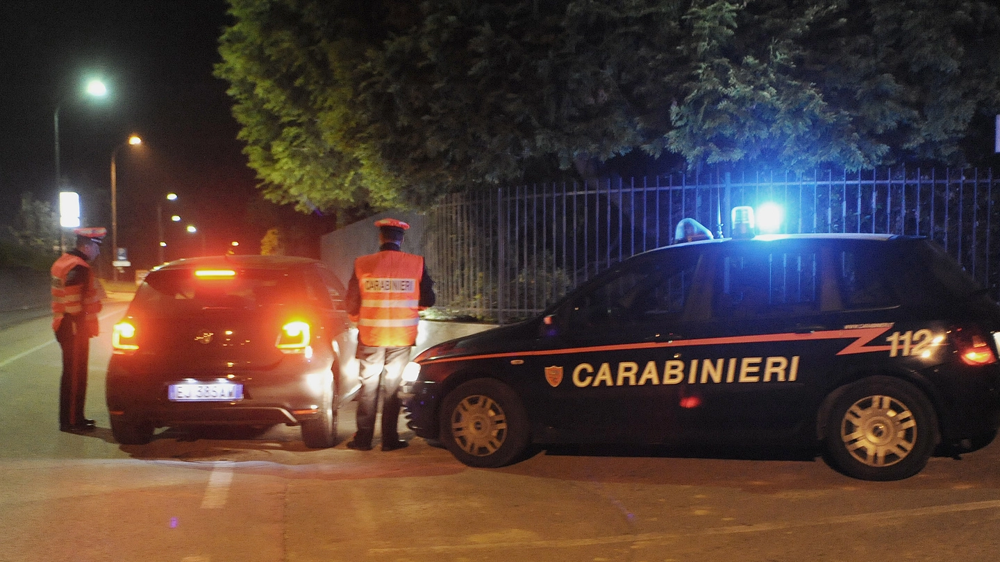 Carabinieri e la polizia di Stato erano riusciti a identificare gli imputati e a bloccarli nella Bassa poco prima che lasciassero l’Italia per l’Est Europa