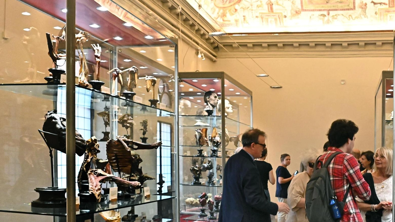 La collezione anatomica Paolo Gorini «Ci stiamo concentrando su trenta teste e sei corpi di bambini pietrificati» specificano gli esperti