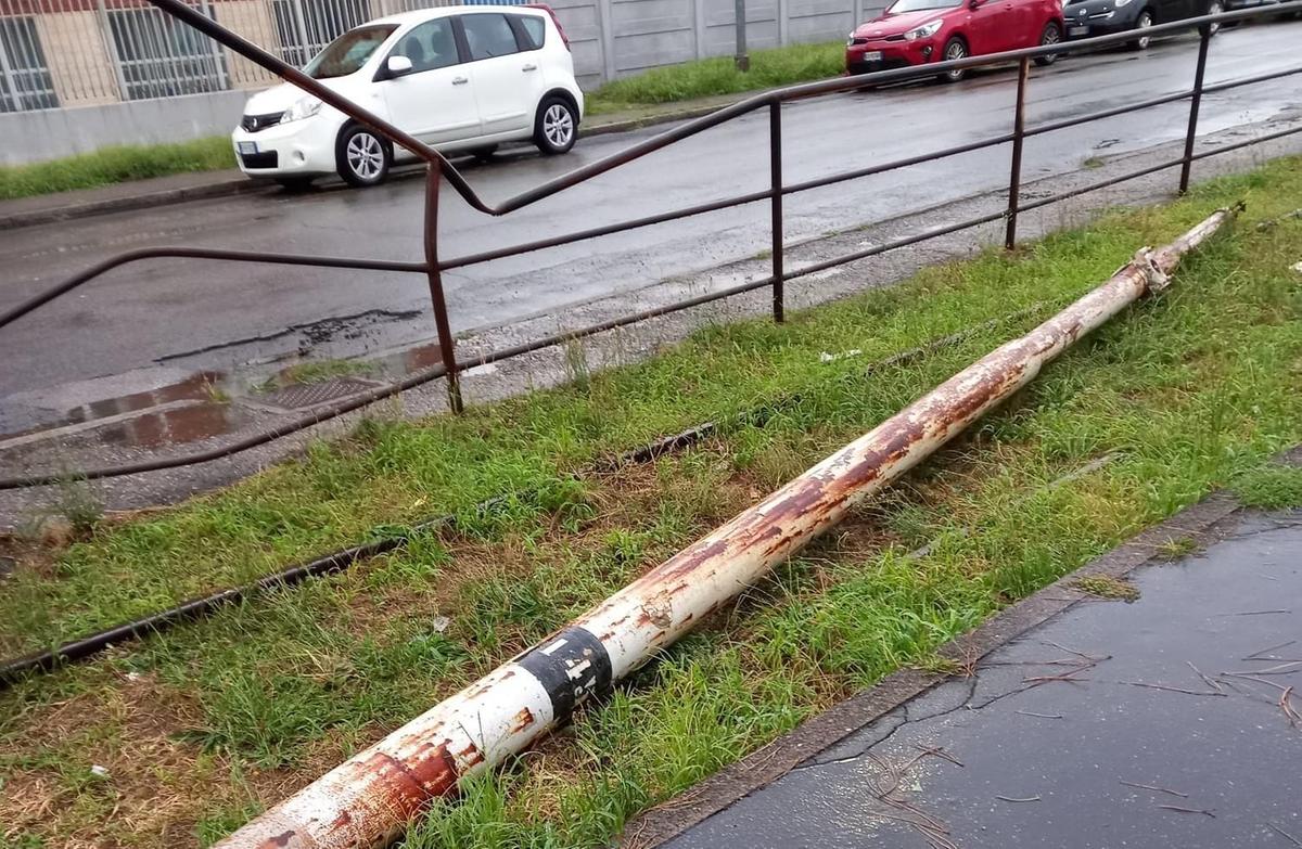Maltempo e danni. Sradicato un albero abbattuto un palo Maltempo e danni. Sradicato un albero abbattuto un palo