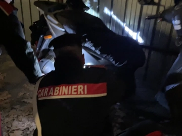 immagine articolo