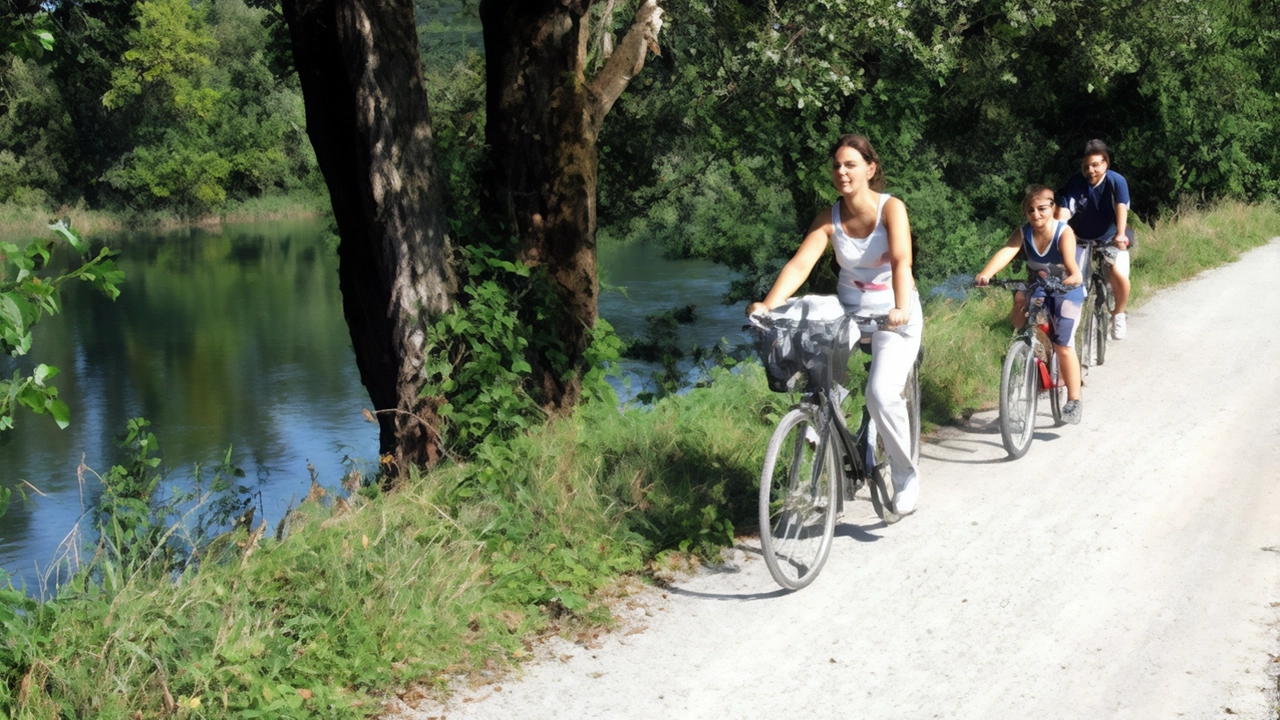 In Parco Adda Nord verranno piantati 480 cartelli per indicare confini, norme e punti di interesse. Lavori a cura di Hservizi Spa In Parco Adda Nord verranno piantati 480 cartelli per indicare confini, norme e punti di interesse. Lavori a cura di Hservizi Spa