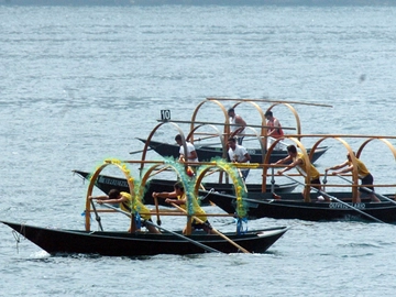 immagine articolo
