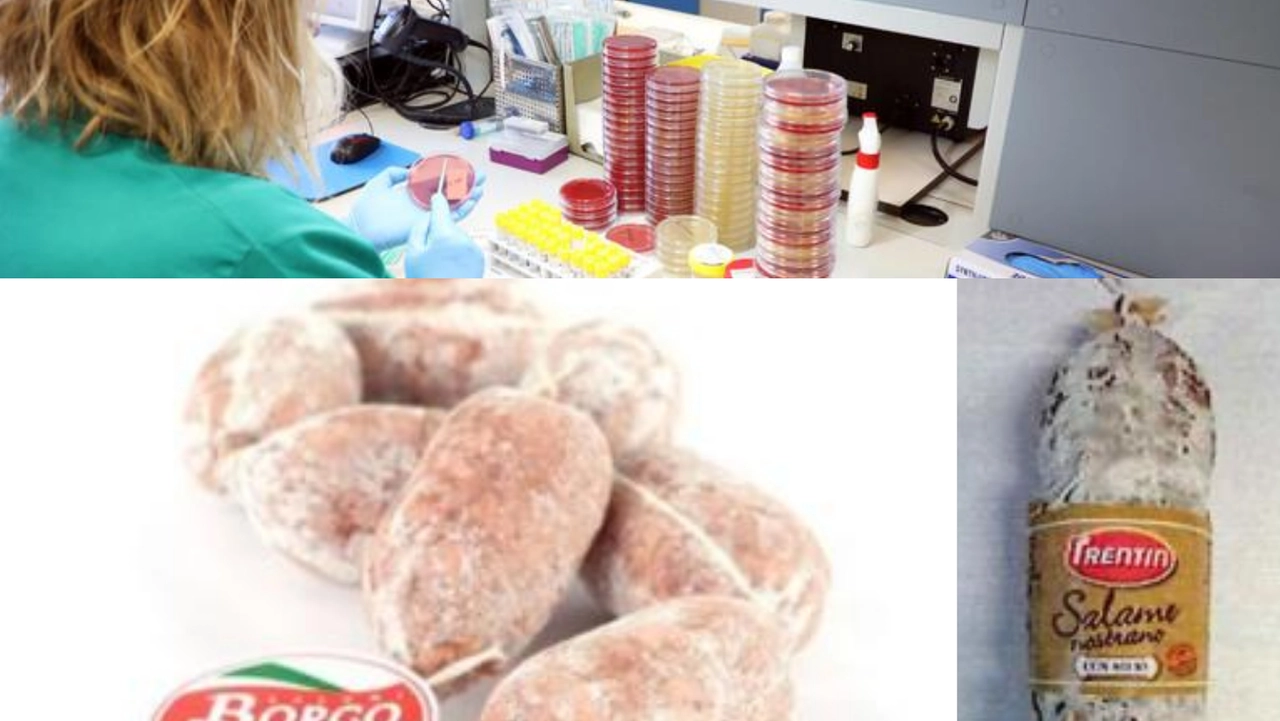 Un laboratorio d'analisi e i prodotti ritirati dal mercato Un laboratorio d'analisi e i prodotti ritirati dal mercato