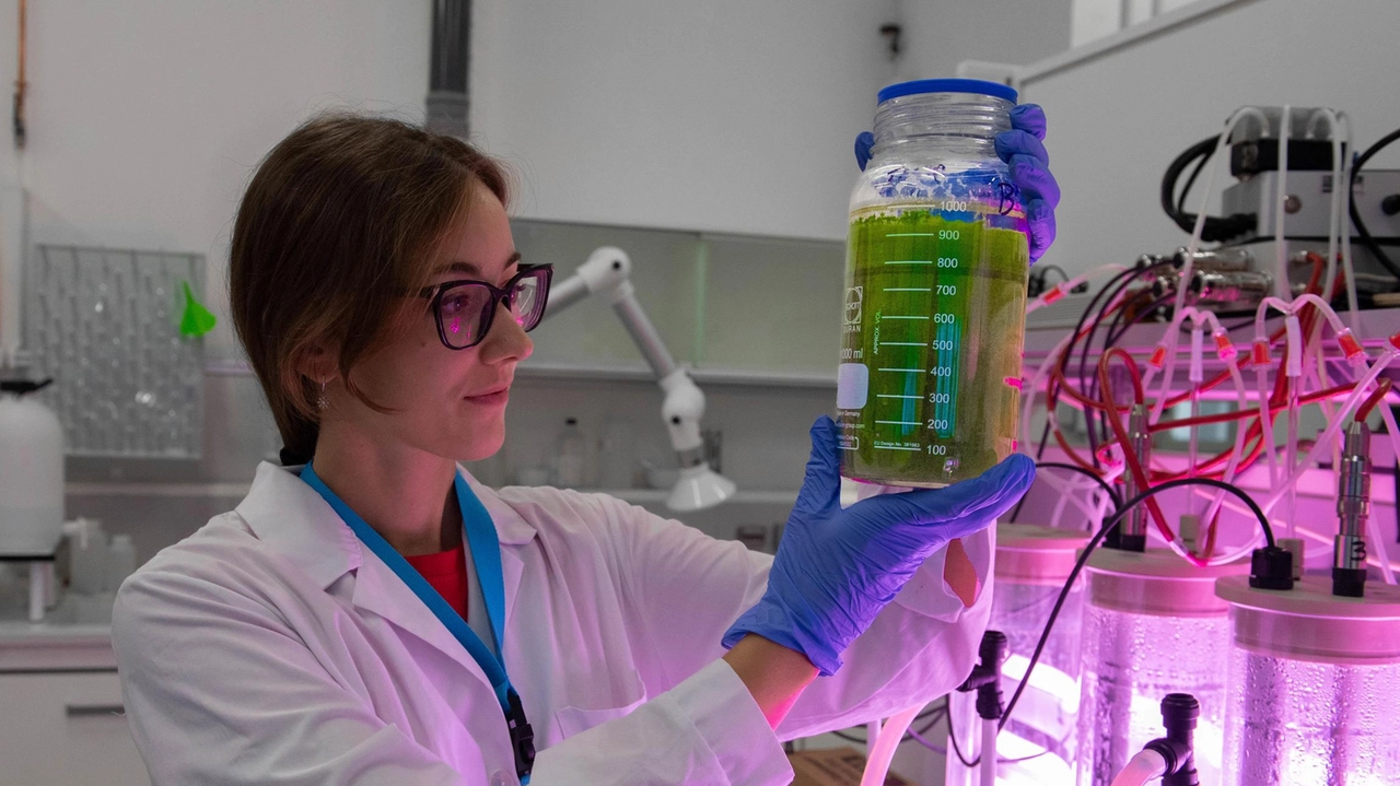 Il laboratorio di Ingegneria ambientale Politecnico di Milano