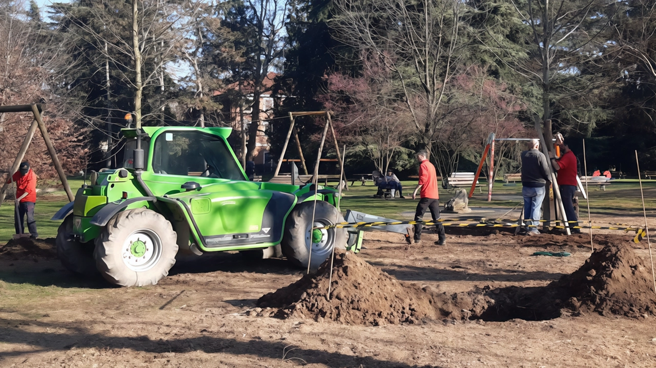 Quattro platani vicino al chiosco e due ginkgo biloba davanti alla fontana, al Parco Gussi a Vimercate arrivano gli alberi... Quattro platani vicino al chiosco e due ginkgo biloba davanti alla fontana, al Parco Gussi a Vimercate arrivano gli alberi...