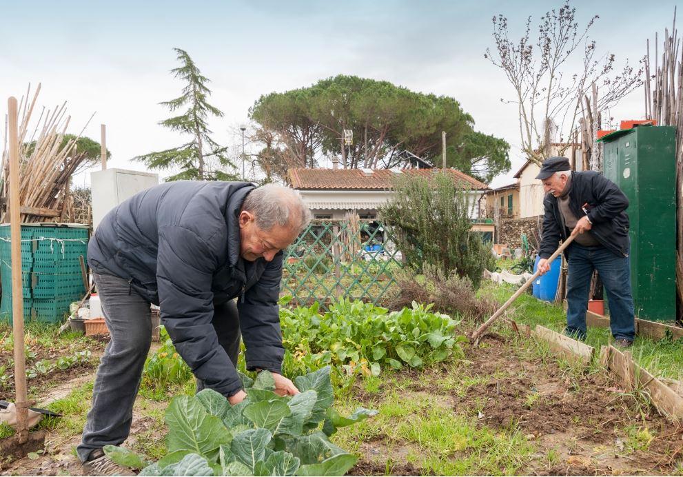 Lodi, orti sotto sfratto: “Sono abusivi”. È scontro legale: “Resisteremo, sono il nostro luogo di aggregazione” Lodi, orti sotto sfratto: “Sono abusivi”. È scontro legale: “Resisteremo, sono il nostro luogo di aggregazione”