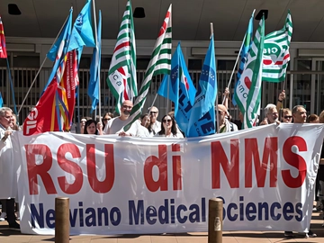 immagine articolo