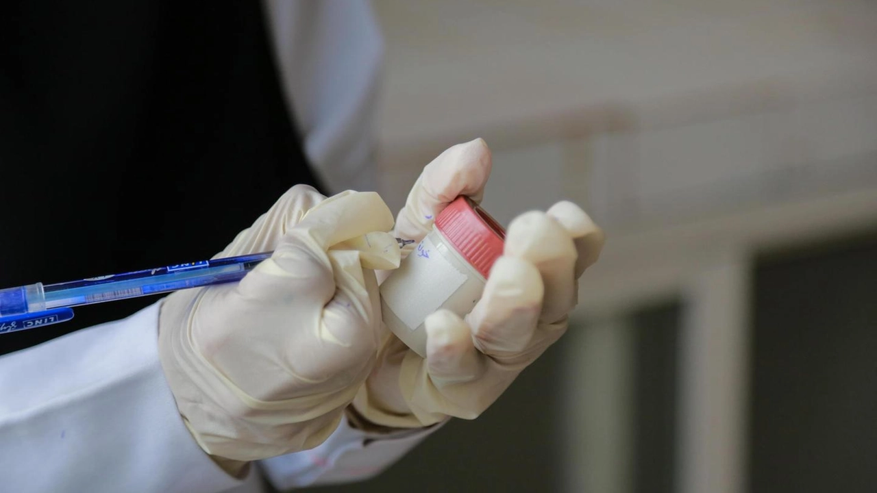 Attesa per le analisi che stabiliranno a quale ceppo di colera appartenga il caso di Brescia