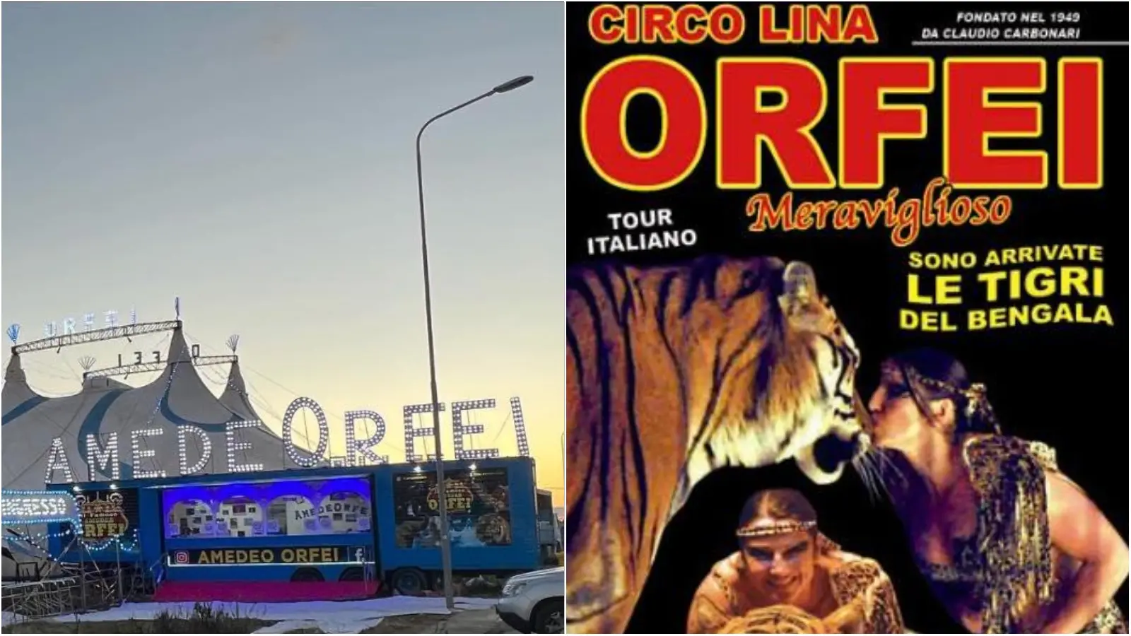 Morta Lina Orfei, una vita nel circo: l’ex trapezista e presentatrice aveva 95 anni