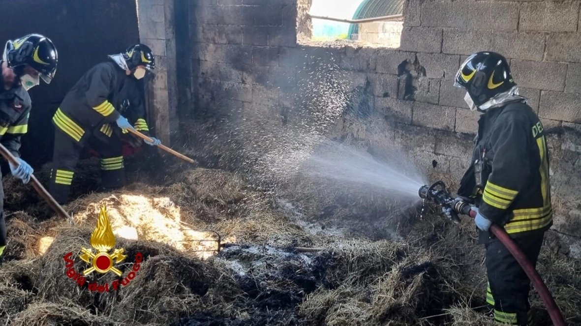 Il rogo nelle stalle è scoppiato sabato forse per il corto circuito di un macchinario Il rogo nelle stalle è scoppiato sabato forse per il corto circuito di un macchinario