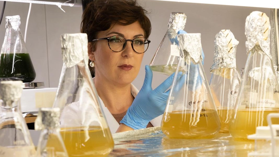 Paola Magni, biologa naturalista specializzata in entomologia forense e aquatic forensics, cervello italiano emigrato in Australia (Claire Martin) Paola Magni, biologa naturalista specializzata in entomologia forense e aquatic forensics, cervello italiano emigrato in Australia (Claire Martin)