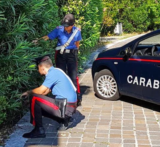 agguato sulla statale 42 ferito da un colpo di pistola