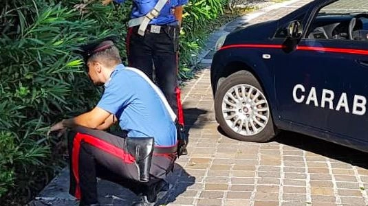 Indagano i carabinieri di tenenza di Seriate Indagano i carabinieri di tenenza di Seriate