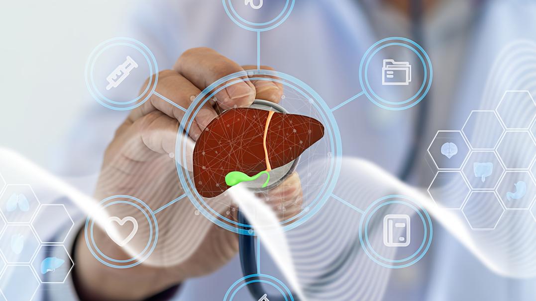 Fegato sotto esame all’ospedale di Lodi: la tecnologia in aiuto di diagnosi e cure delle malattie epatiche Fegato sotto esame all’ospedale di Lodi: la tecnologia in aiuto di diagnosi e cure delle malattie epatiche