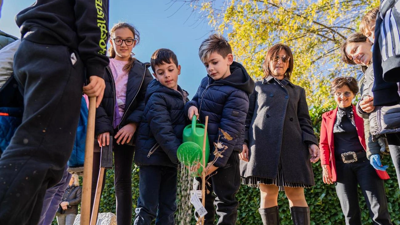 Al Comune il riconoscimento di City Vision per i migliori progetti innovativi. Dal nubifragio dell’estate 2023 al riscatto con gli esperti del Politecnico. Al Comune il riconoscimento di City Vision per i migliori progetti innovativi. Dal nubifragio dell’estate 2023 al riscatto con gli esperti del Politecnico.